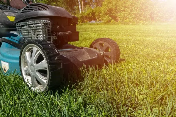 Can You Mow Wet Grass in Las Cruces, NM