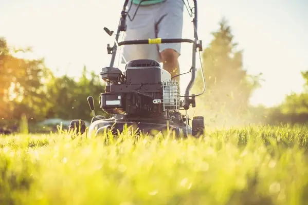 Can You Mow Wet Grass in Las Cruces, NM