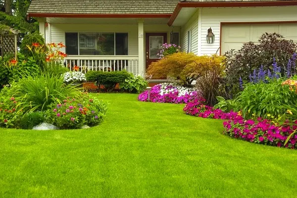 Front Yard and Backyard Landscaping