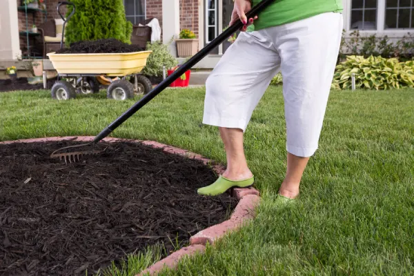 How Long Does Mulch Last in Las Cruces, NM