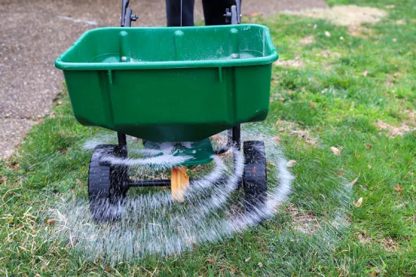 How often should you fertilize your lawn in Las Cruces, NM