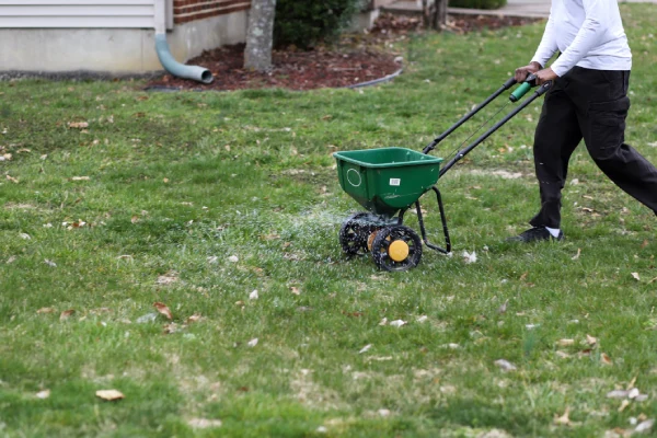 How often should you fertilize your lawn in Las Cruces, NM