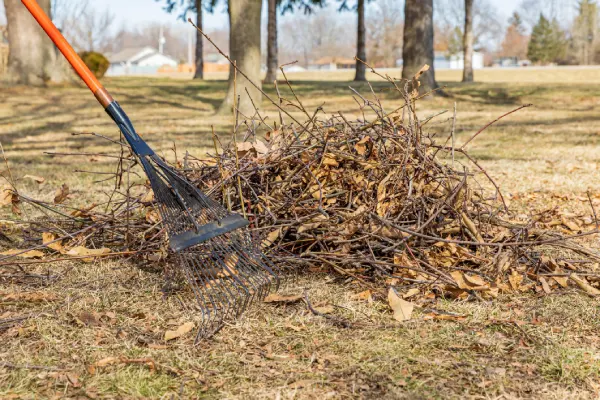 How to Clean a Backyard in Las Cruces, NM