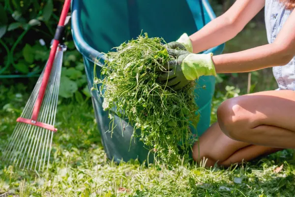 How to Clear a Yard Full of Weeds in Las Cruces, NM