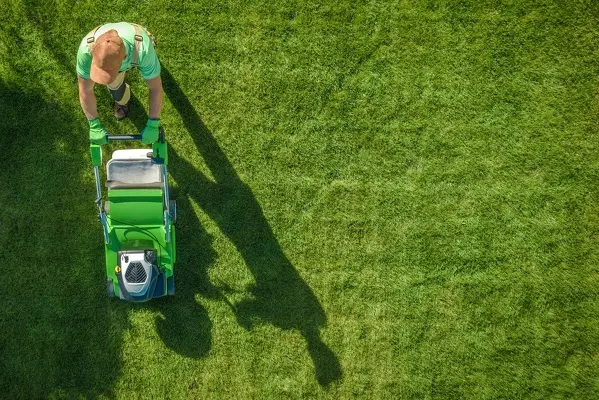 How to Mow a Lawn in Las Cruces, NM