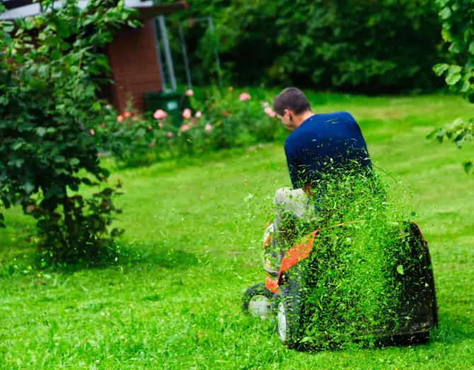 Lawn Mowing in Las Cruces, NM