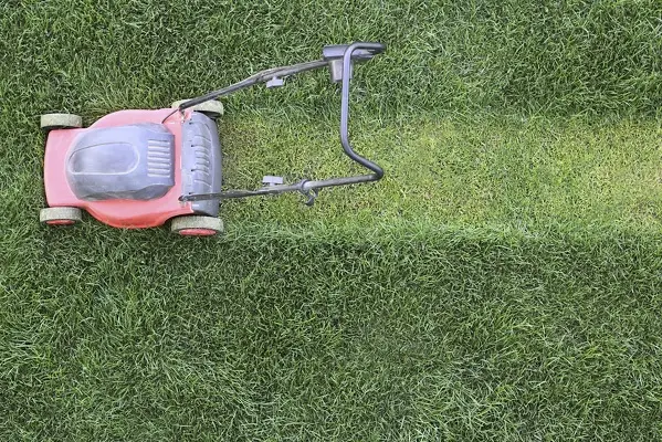 Lawn Mowing in Las Cruces, NM