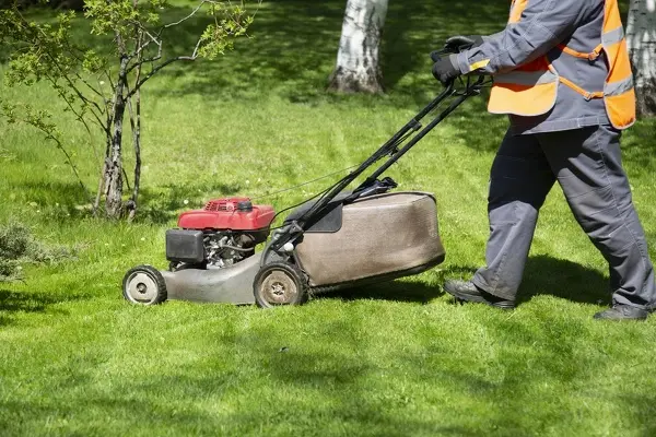 Lawn Mowing and Edging