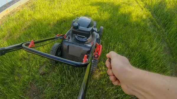 Quality Lawn Mowing in Las Cruces, NM