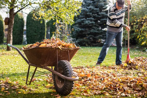 Quality Yard Cleanup in Las Cruces, NM