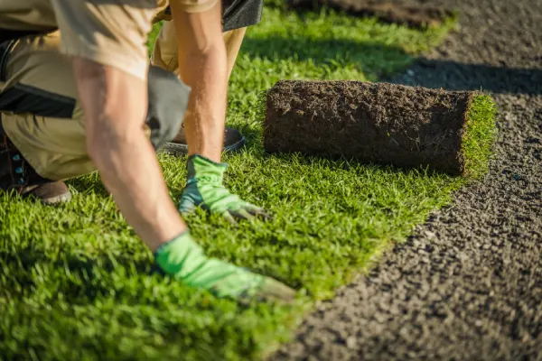 Sod Installation in Las Cruces, NM