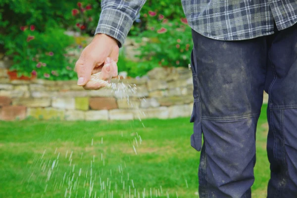 When is the best time to fertilize your lawn in Las Cruces, NM